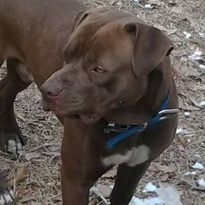 Meet your Posher, Reginald